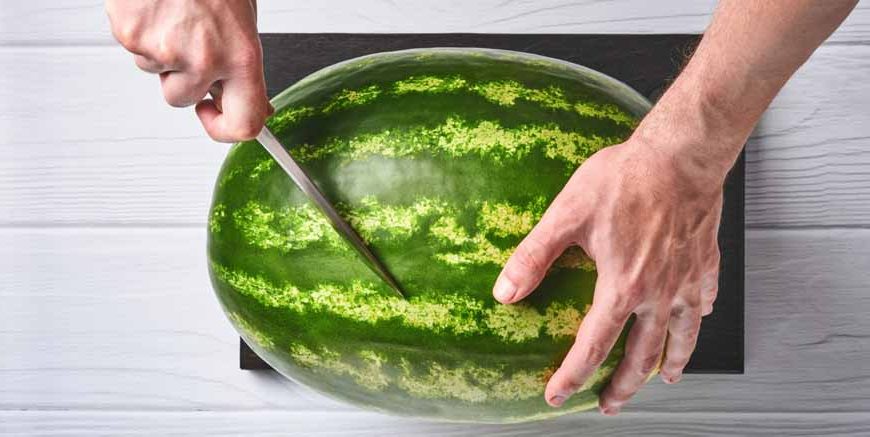 Watermelon Rind Uses Learn Important Terms and Concepts