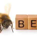Facts About Bees - Learn Important Terms and Concepts