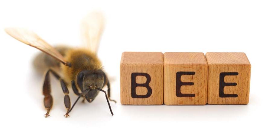 Facts About Bees - Learn Important Terms and Concepts