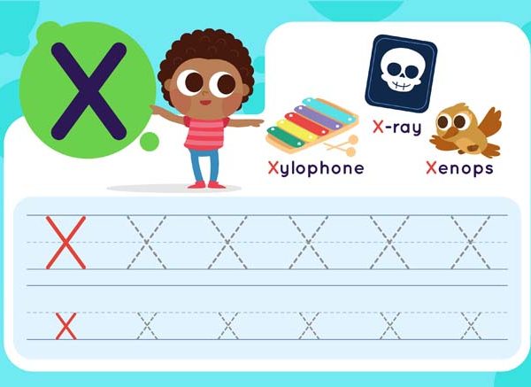 List of 4 Letter Words That Start With 'X' For Children To Learn