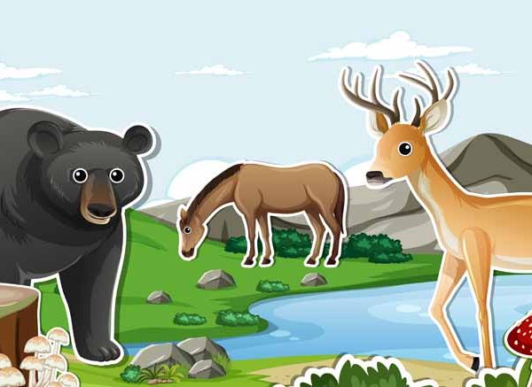 List of Mountain Animal Names To Teach Your Kids