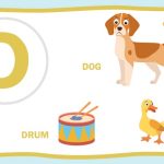 Teach Kids Names of Animals That Start With Letter D