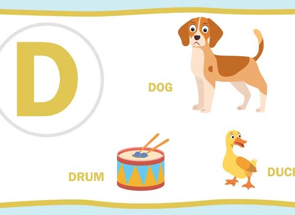 Teach Kids Names of Animals That Start With Letter D