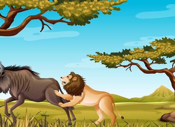 The Donkey In The Lion's Skin Story For Children With Moral
