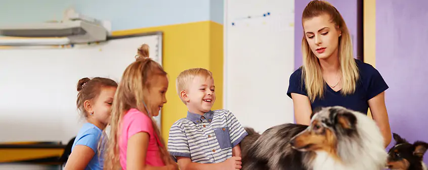 How to choose a right preschool?