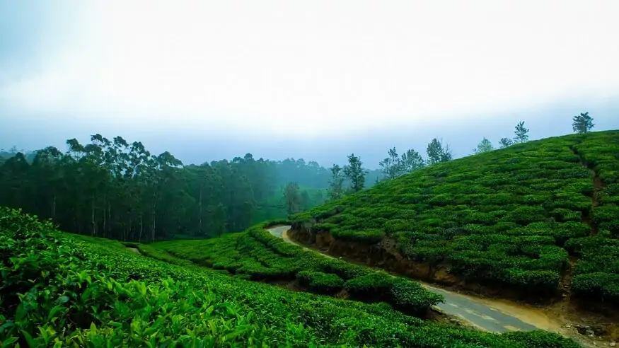 places-to-visit-in-chikmagalur