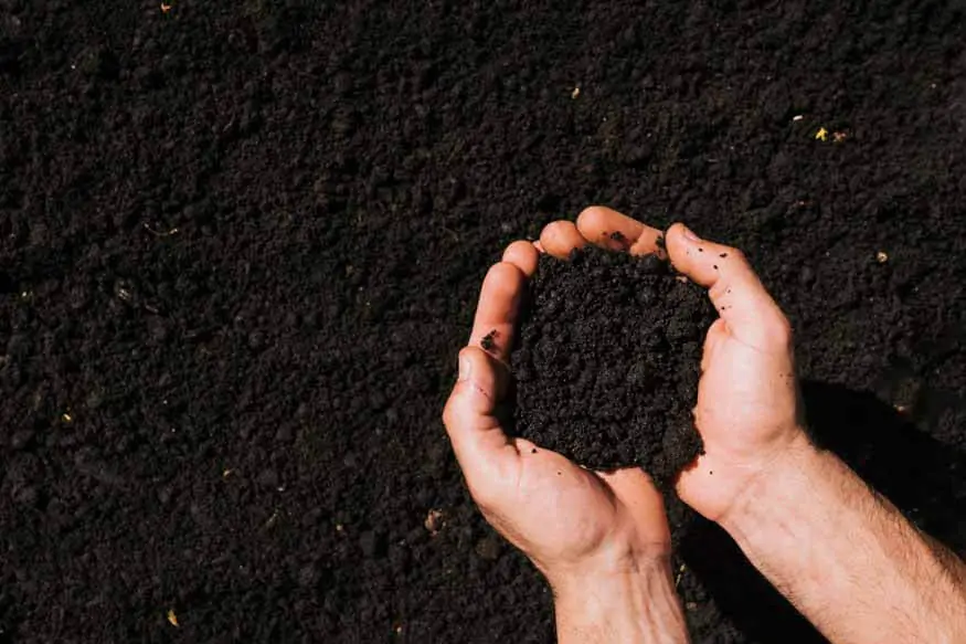different-types-of-soils-and-their-charachterstics